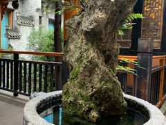 -鱼桥巷·美学川菜