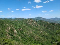 -大岭沟猕猴桃谷风景区