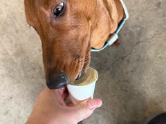 -HALO SOUL COFFEE·咖啡·甜品·简餐(嘉年华海信广场店)