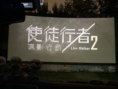 -枫花园汽车电影院(朝阳公园店)