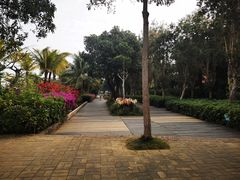 -中澳友谊花园