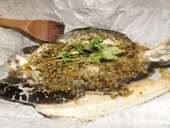 纸上烤鱼-鱼来顺纸上烤鱼