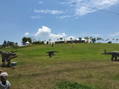 -紫颐香薰山谷景区