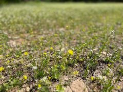 -帽儿山国家森林公园