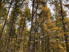 -白草畔自然风景区