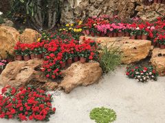 -南通洲际绿博园