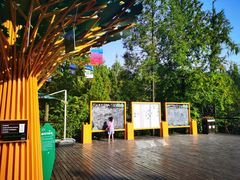 -黄海国家森林公园