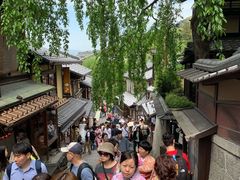 -有栖山 清光院 清水寺