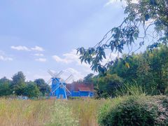 -宜兴龙背山森林公园