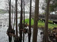 -东湖落雁景区