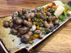 -山河屯铁锅炖鲜鹅·东北菜(开发区一店)
