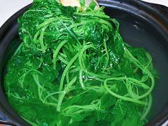 -荟廷·晶萃(陆家嘴尚悦湾店)