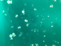 -福州罗源湾海洋世界旅游区