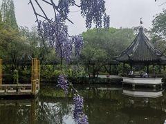 -上海醉白池公园
