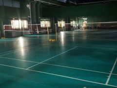 -东丽温泉羽毛球