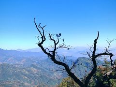 -青城山