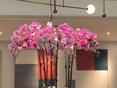 -港丽餐厅(来福士店)