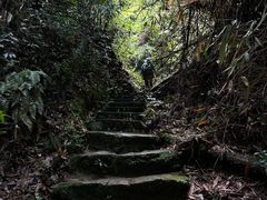 -大围山国家森林公园