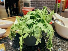 茼蒿-井格重庆火锅(临平银泰城店)