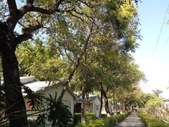 -广东花都香草世界旅游度假区