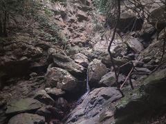 -梧桐山风景名胜区