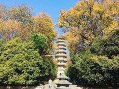 -灵谷景区