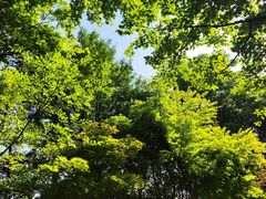 -临平公园(临平街道)
