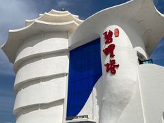 -北戴河碧螺塔海上酒吧公园