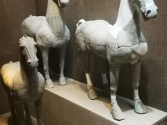 -烟台市博物馆