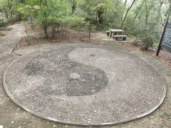 -上海佘山国家森林公园天马山园