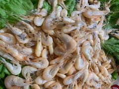 -闯关东东北农家菜(崂山石老人店)