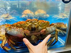 -盒马鲜生(顺义店)