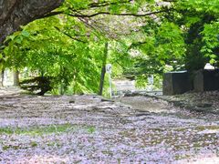 -北海道厅旧本厅舍(旧本庁舎)