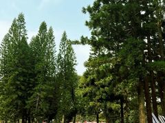 -人民公园(罗湖区)