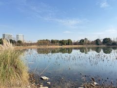 -澹台湖公园
