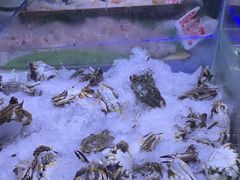 -聚盛源蒸汽海鲜火锅烤肉自助(巨川金海岸购物广场店)