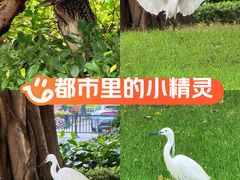 -海心沙亚运公园