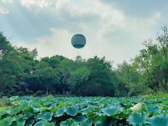 -西溪国家湿地公园