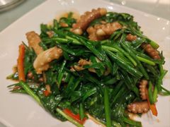 韭菜炒八爪鱼-华盛丰温州大排档(东三环南路店)
