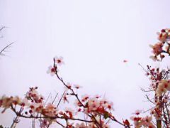 -蜀冈西峰生态公园