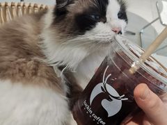 -怪兽屋·羊驼·猫咖·狗咖(俊华广场店)