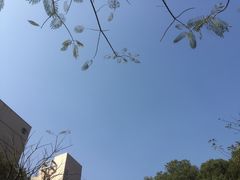 -南华大学(红湘校区)