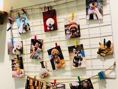 -小尾巴宠物店(万科·金域华庭店)