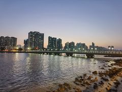 -野狸岛
