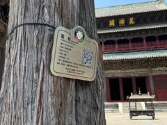 -报恩寺(平武县)