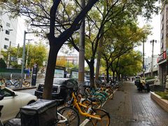 -老广酒楼(樱花店)