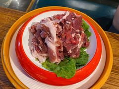 手切鲜羊肉-额尔敦草原涮羊肉·烧烤(冻青树总店)
