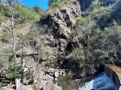 -大奇山国家森林公园