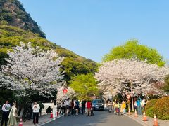 -湘湖金融镇