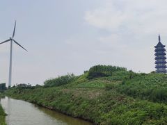 -奉贤海滩